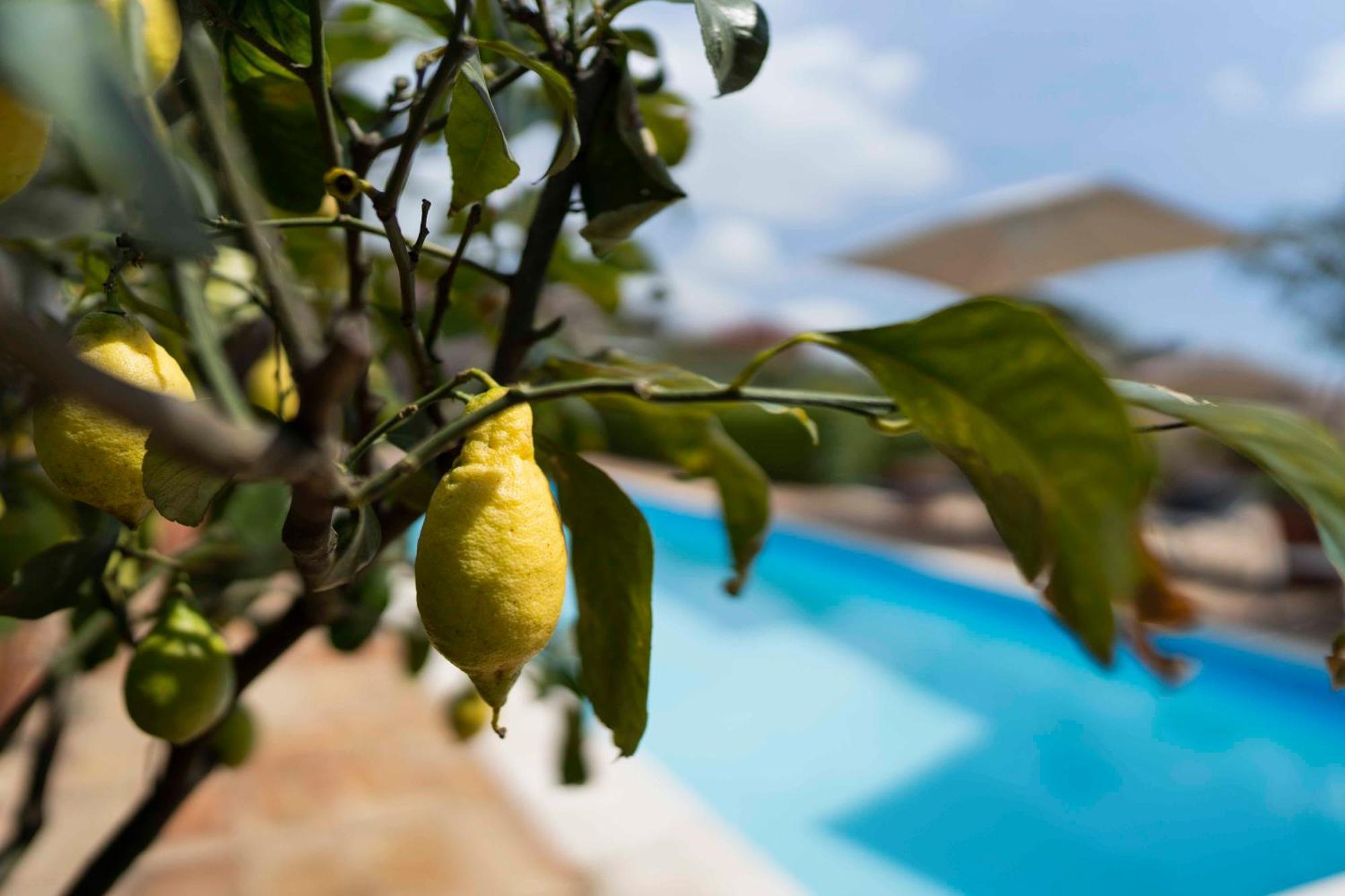 B&B Bellini Milo Bagian luar foto