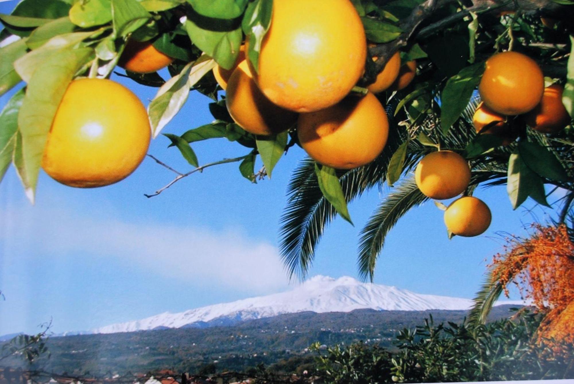 B&B Bellini Milo Bagian luar foto